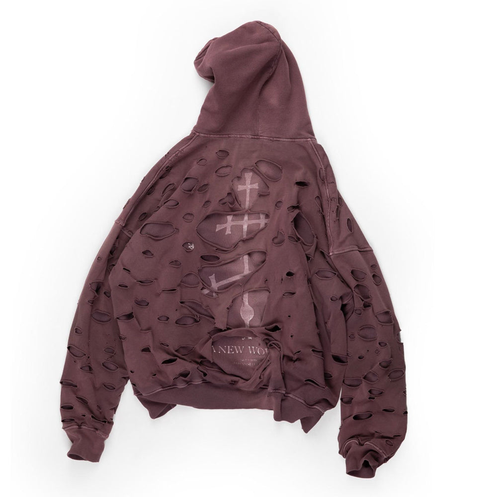 ALEXANDER DIGENOVA - A NEW WORLD HOODIE