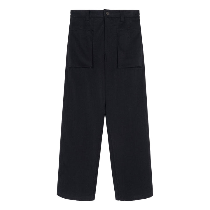 Rue Darted Fatigue Pants in Cotton/Silk/Cupro
