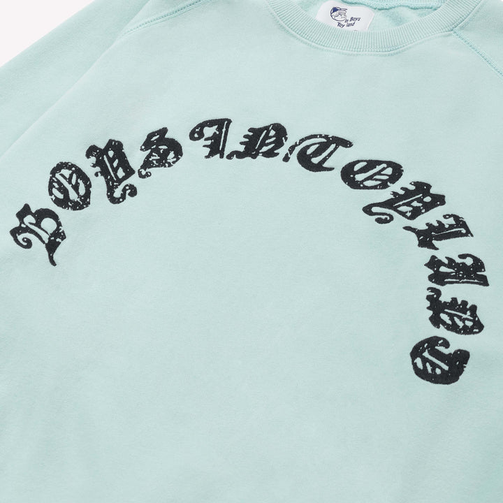 GRAPHIC RAGLAN SWEAT - Boys in Toyland