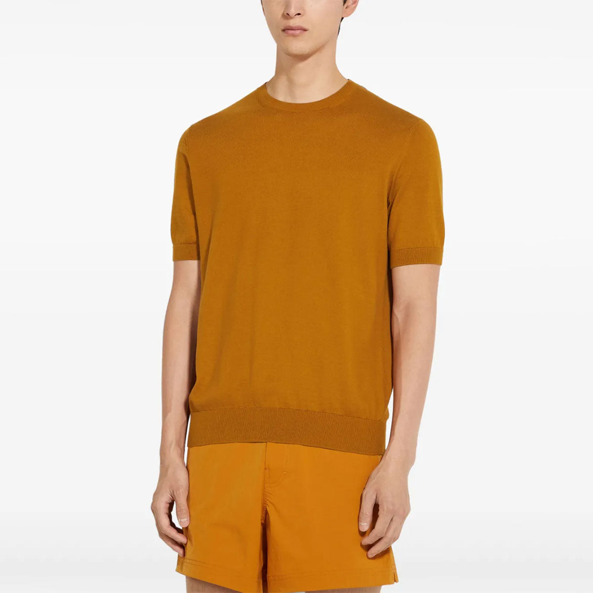 ZEGNA　プレミアムコットンTシャツ S相当 ZEGNA(ゼニア) | Premium Cotton Tシャツ