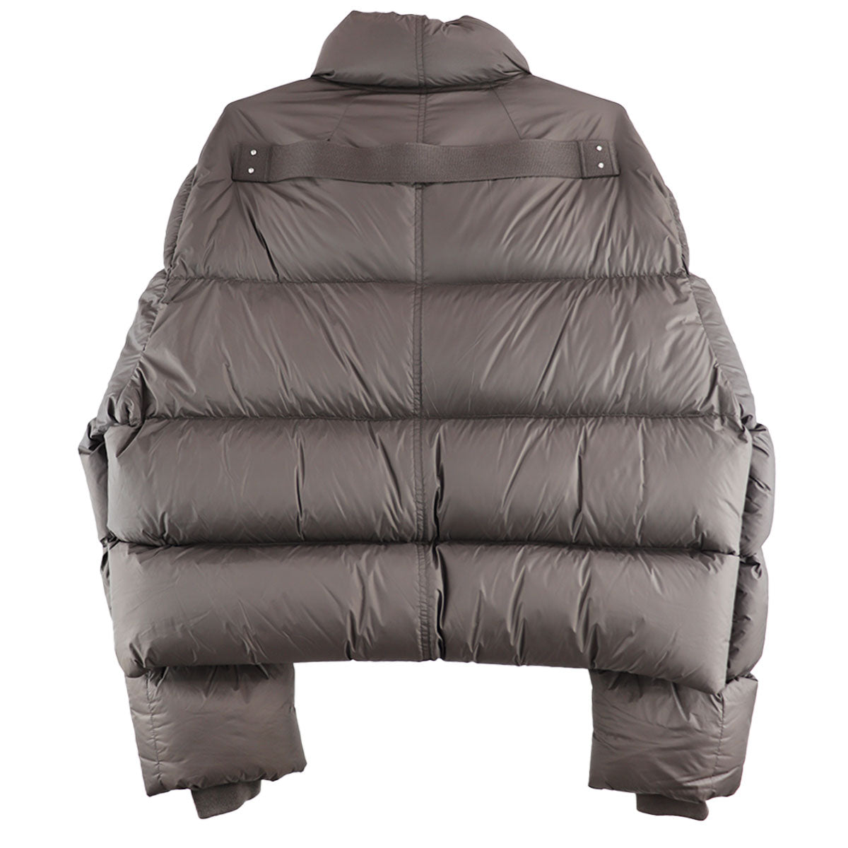 TURTLE JKT | Why are you here?