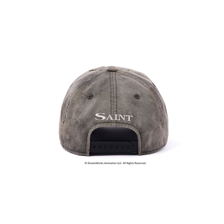 DW_CAP/SAINT