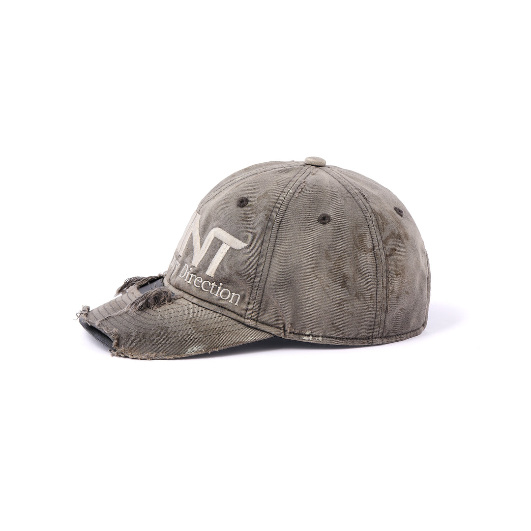 CAP/SAINT