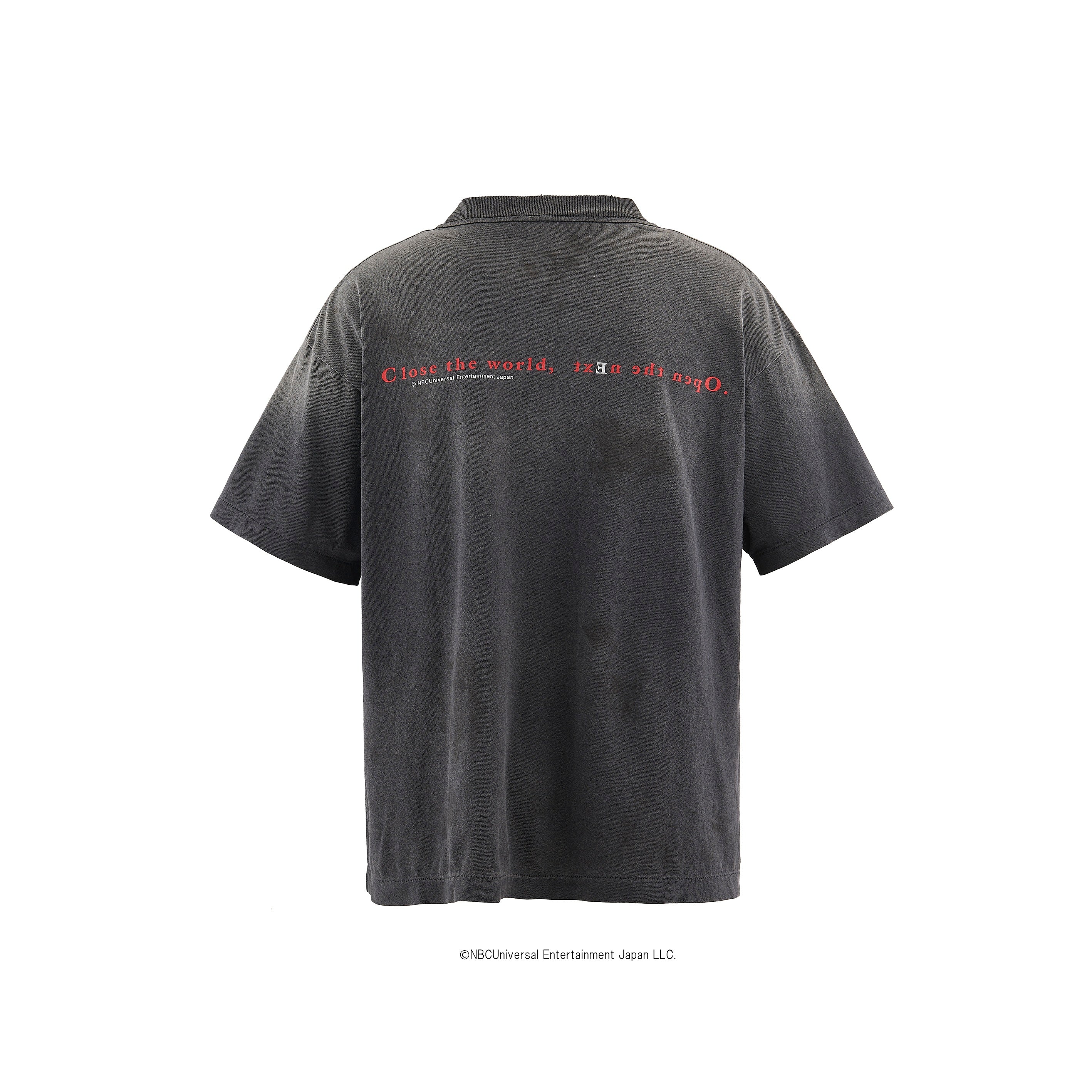 GS_SS TEE/LAIN | Why are you here?