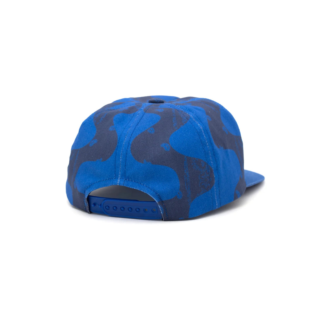 THE WORLD IS YOURS - Panton Cap