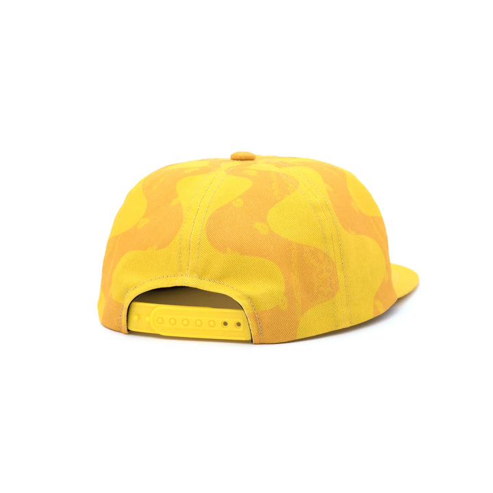 THE WORLD IS YOURS - Panton Cap
