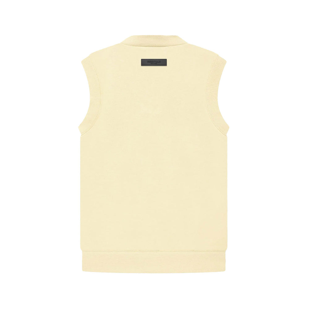Womens V Neck Vest - Why are you here?