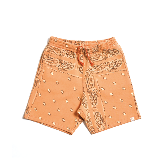 Pa,sley Vintage Shorts - THE WORLD IS YOURS