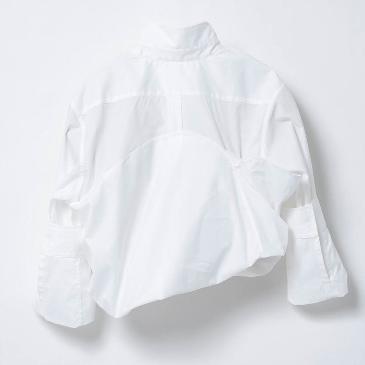 Roll Up Shirts - Why are you here?